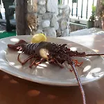 Maxola's Dream Hotel