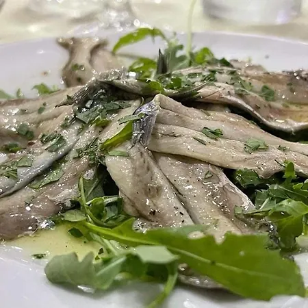 Maxola's Dream Hotel