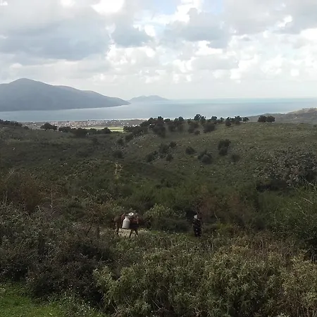 Maxola's Dream Hotel