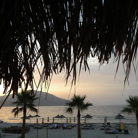 Maxola's Dream オリクム