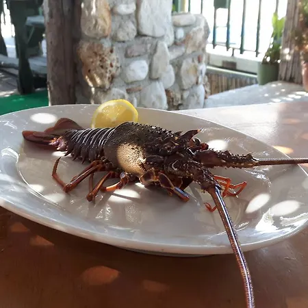 Maxola's Dream Hotel