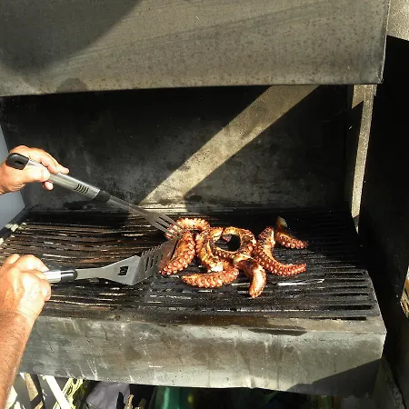 酒店 Maxola's Dream 奥里库姆