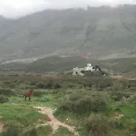 Maxola's Dream *