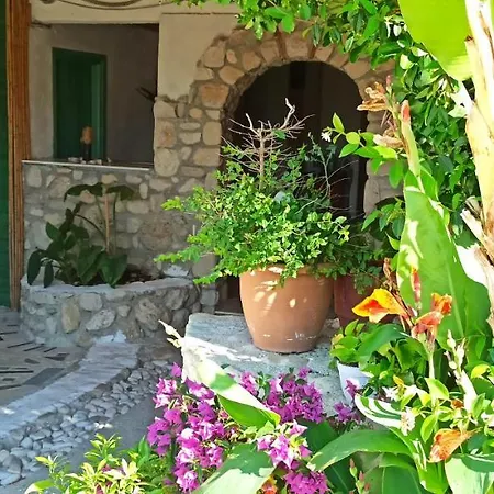 Maxola's Dream Hotel *