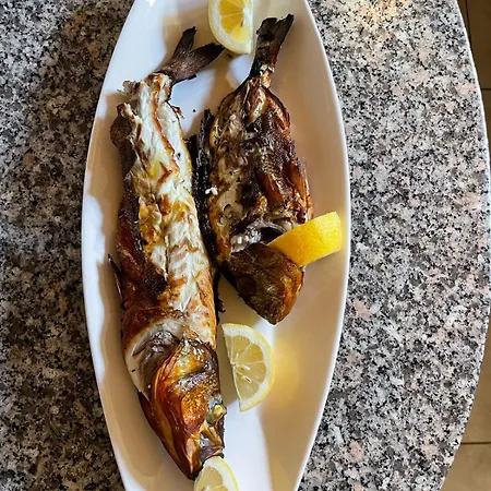 Maxola's Dream * Орикум