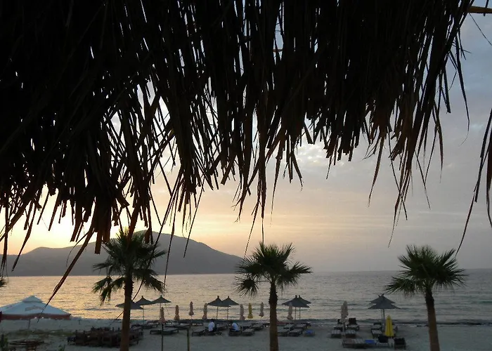 Maxola's Dream Orikum