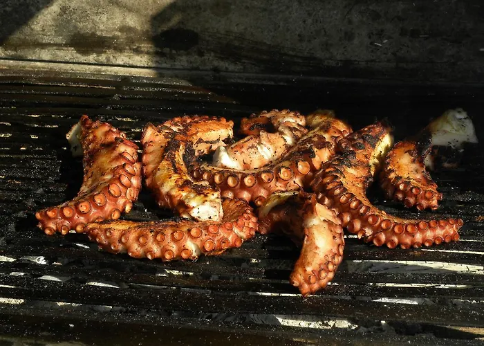 Maxola's Dream فندق *